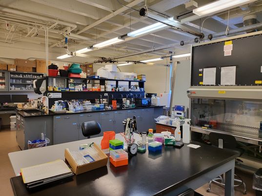 photo of the flow cytometry lab