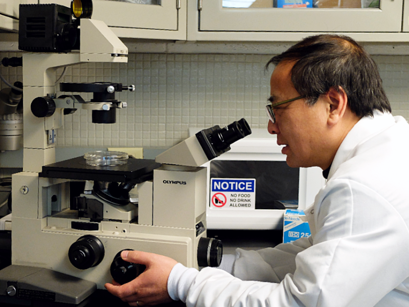 dr. lin liu at microscope