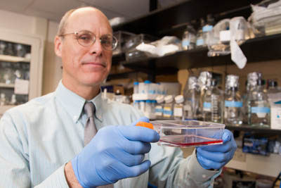 dr. myron hinsdale with lab gel