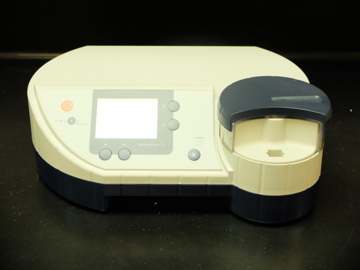 amaxa nucleofector system